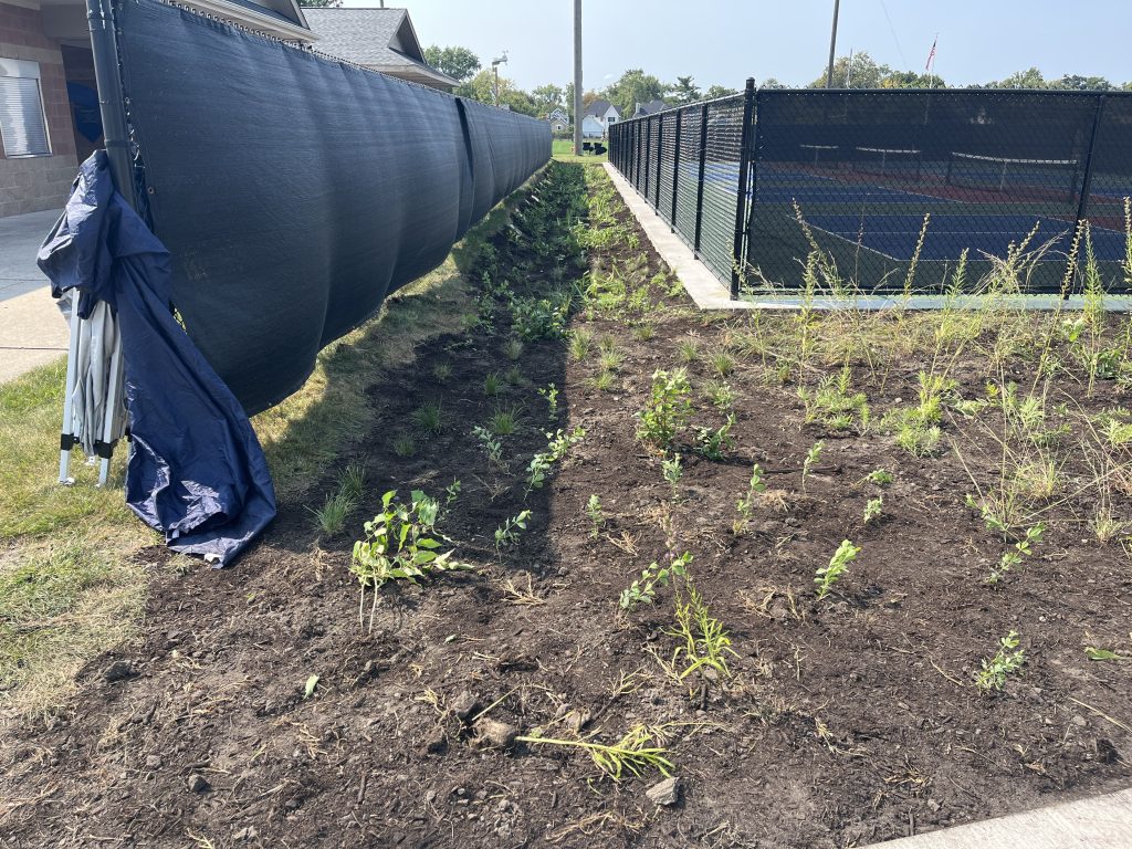 Rain garden extending between a pickleball court and baseball field