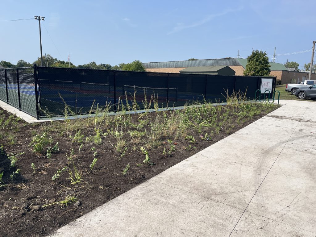 Rain garden next to a pickleball court 