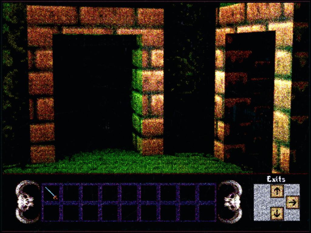 first person view of a grainy view of two doors in a dungeon