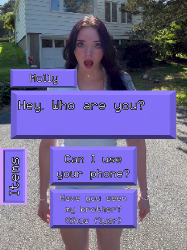 screenshot from Excuse Me Sir showing a surprised woman and her saying "Hey, who are you?" with the response options being "Can I use your phone?" and "Have you seen my brother? (Show flyer)"