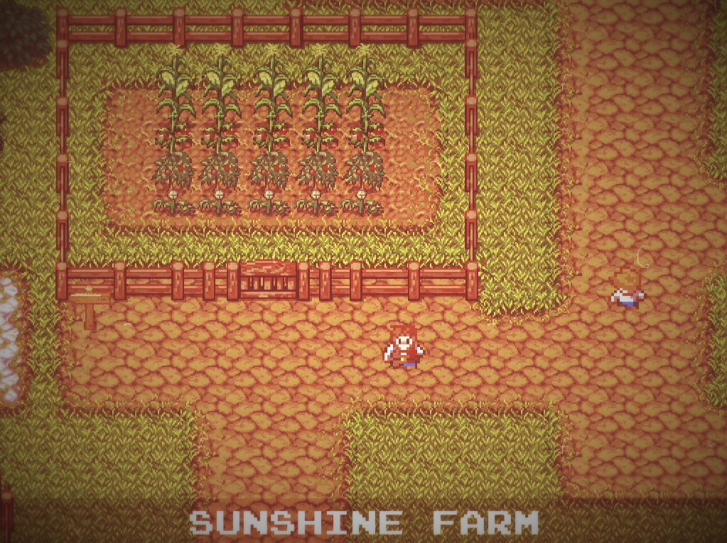 top down view of a guy next to a garden